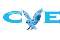 logo CVE
